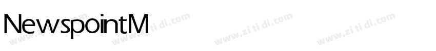 Newspoint Medium字体转换